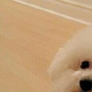 纳尼
