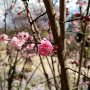 菲童牛宝