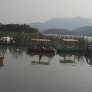 永远的痛
