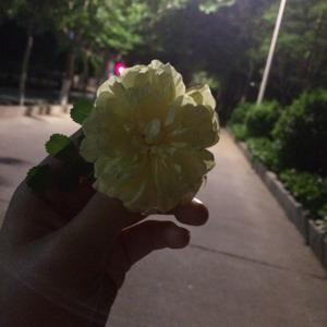 沐宝儿