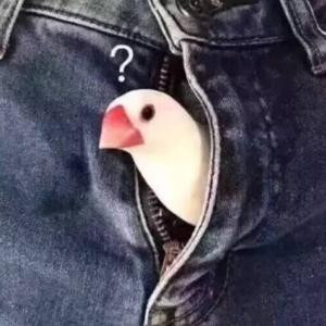 狂药