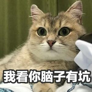 摆摆光线丶