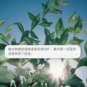 心茫