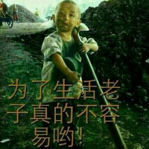 沉默的兔兔