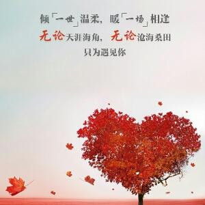 惜曦