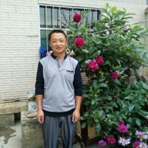 书虫