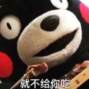 熊本熊的熊