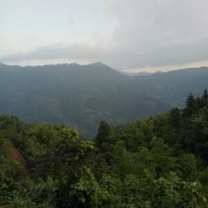 盈源阳志刚