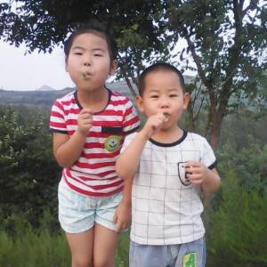 王朝天子