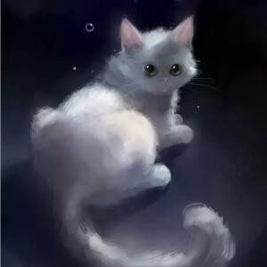 学校里的口袋猫
