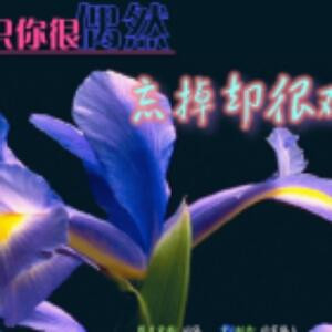 随便