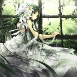花未落