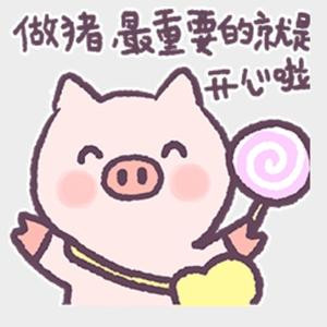 猪最重要是开心