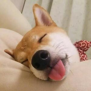 乜丶有過