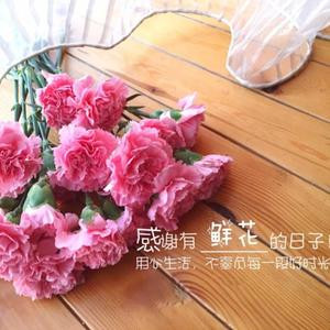 不负韶华