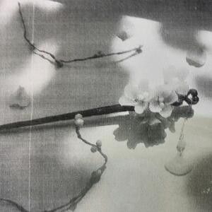 残红舞绛