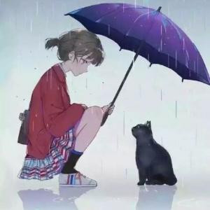 猫的约定