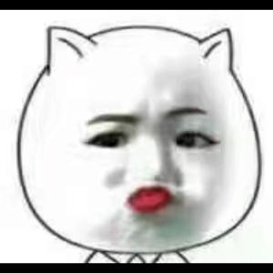 姓花名洛字流年