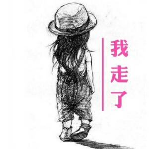 书呆呆呆