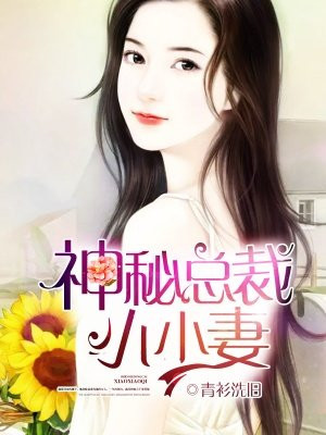 神秘总裁小小妻