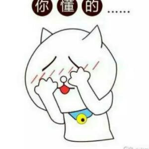 仙人掌