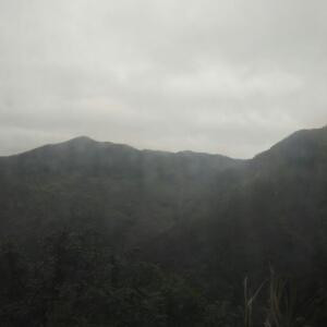 一心一意