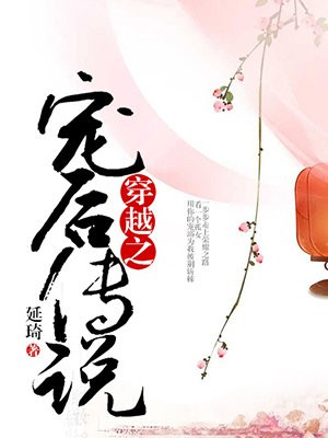 穿越之宠后传说
