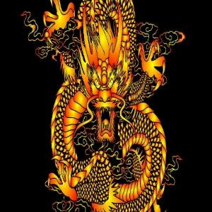 随风