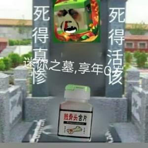 古生物学家MC
