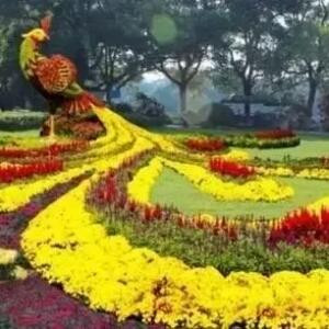 书情画意