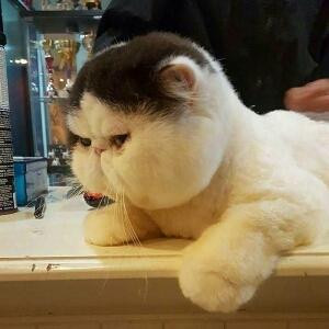 我要回到风里了