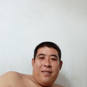 鱼儿