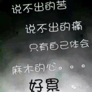 晚风拂心头