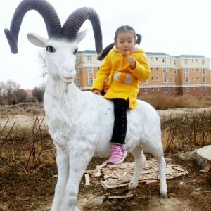 妍妍