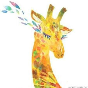 阳光不懂向日葵