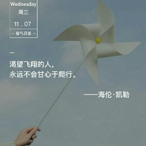 枫林晚