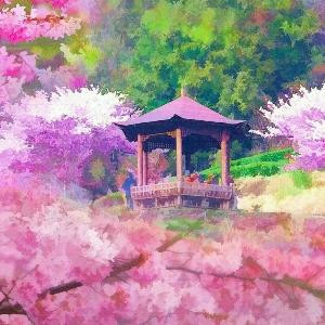 阳光早安