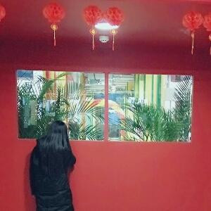 猫街小巷浅时光