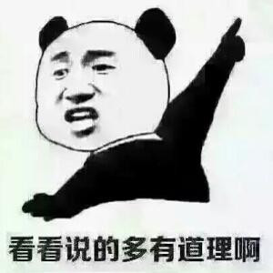 懒猪