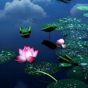 碧草云天