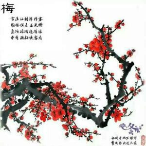 加油每一天