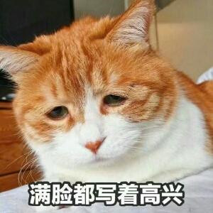 小阔爱吖