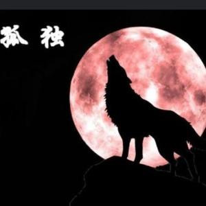 独孤