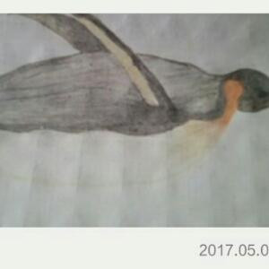 风