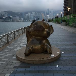 陈小贱
