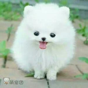 暧昧