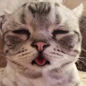 小周