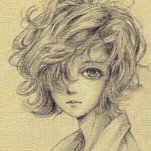 金狐狸