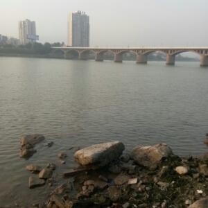 九根虫丶李