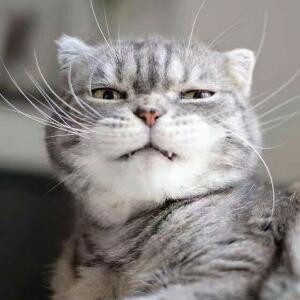 执子猖狂